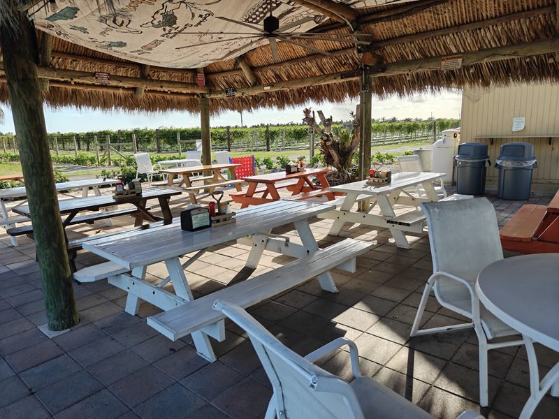 Everglades Gator Grill interior